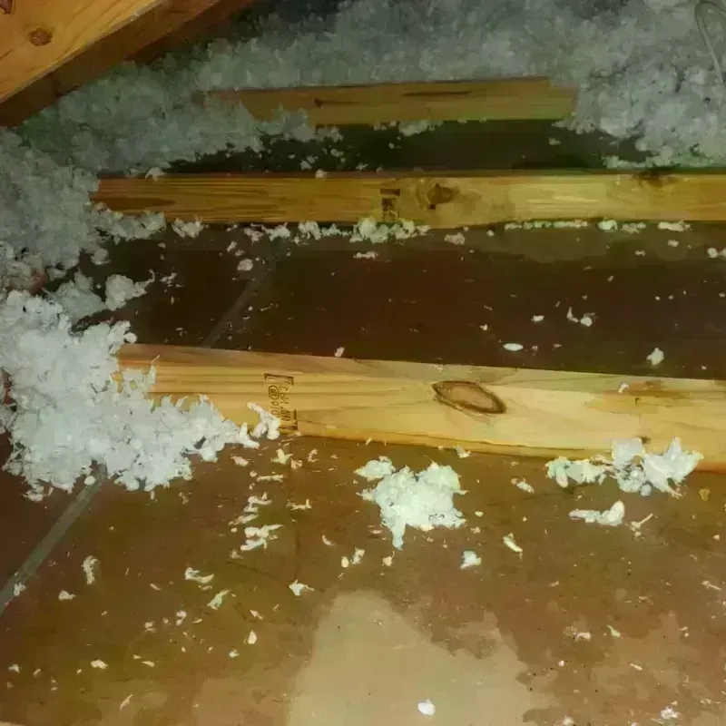 Attic Water Damage in Eads, CO