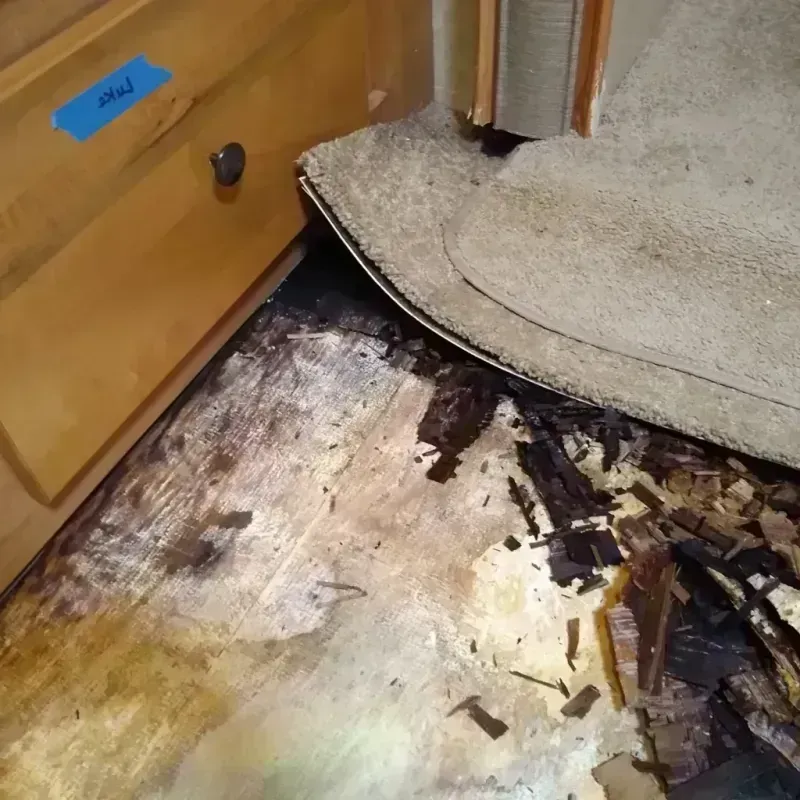 Wood Floor Water Damage in Eads, CO